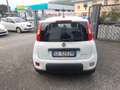 Fiat Panda Panda III 2021 1.0 firefly hybrid City Life s Weiß - thumbnail 4