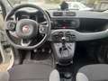 Fiat Panda Panda III 2021 1.0 firefly hybrid City Life s Weiß - thumbnail 8