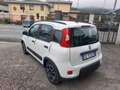 Fiat Panda Panda III 2021 1.0 firefly hybrid City Life s Weiß - thumbnail 5