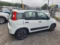 Fiat Panda Panda III 2021 1.0 firefly hybrid City Life s Weiß - thumbnail 3