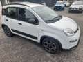 Fiat Panda Panda III 2021 1.0 firefly hybrid City Life s Weiß - thumbnail 2