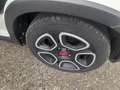 Fiat Panda Panda III 2021 1.0 firefly hybrid City Life s Weiß - thumbnail 15