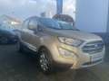 Ford EcoSport ECOSPORT 1.0 EcoBoost TITANIUM Beige - thumbnail 1