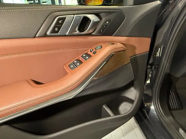 BMW X5 view 16