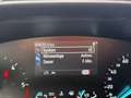 Ford Focus Traveller 1,5 EcoBlue ST-Line Aut. *1. Besitz* Grau - thumbnail 23