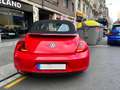 Volkswagen Beetle Cabrio 1.6TDI Design 105 Rojo - thumbnail 2