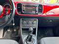 Volkswagen Beetle Cabrio 1.6TDI Design 105 Rojo - thumbnail 10