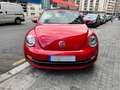 Volkswagen Beetle Cabrio 1.6TDI Design 105 Rojo - thumbnail 3