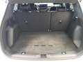 Ford Kuga ST-Line 2.5 Duratec PHEV 178kW Auto Blanco - thumbnail 22