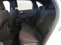 Ford Kuga ST-Line 2.5 Duratec PHEV 178kW Auto Blanco - thumbnail 21