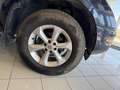 Nissan Navara Navara d.cab 2.5 dci LE 174cv Blu/Azzurro - thumbnail 7