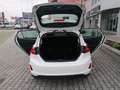 Ford Fiesta 1.5 EcoBlue 5 porte Connected Bianco - thumbnail 13