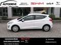 Ford Fiesta 1.5 EcoBlue 5 porte Connected Bianco - thumbnail 1