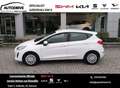 Ford Fiesta 1.5 EcoBlue 5 porte Connected Bianco - thumbnail 1