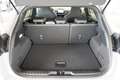 Ford Puma ST 1.5 EcoBoost LED Navi Kamera B&O Grau - thumbnail 24