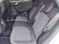 Ford Puma 1.0 EcoBoost MHEV ST-Line 125 CV Gris - thumbnail 8
