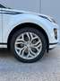 Land Rover Range Rover Evoque Evoque 2.0d i4 mhev S awd 163cv auto Blanco - thumbnail 3