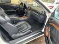 Mercedes-Benz CLK 350 Coupe+Leder+SSD+Klimaautomatik+18 Zoll+ Bianco - thumbnail 10