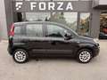 Fiat Panda Panda 1.2i - 69 Euro 6 2017  III Lounge PHASE 1 Noir - thumbnail 4