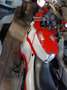 Honda CBR 600 CBR 600 f Rosso - thumbnail 3