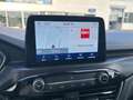 Ford Kuga 2.0 EcoBlue Vignale ACC HUD Leder LM Schwarz - thumbnail 11