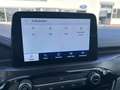 Ford Kuga 2.0 EcoBlue Vignale ACC HUD Leder LM Schwarz - thumbnail 12