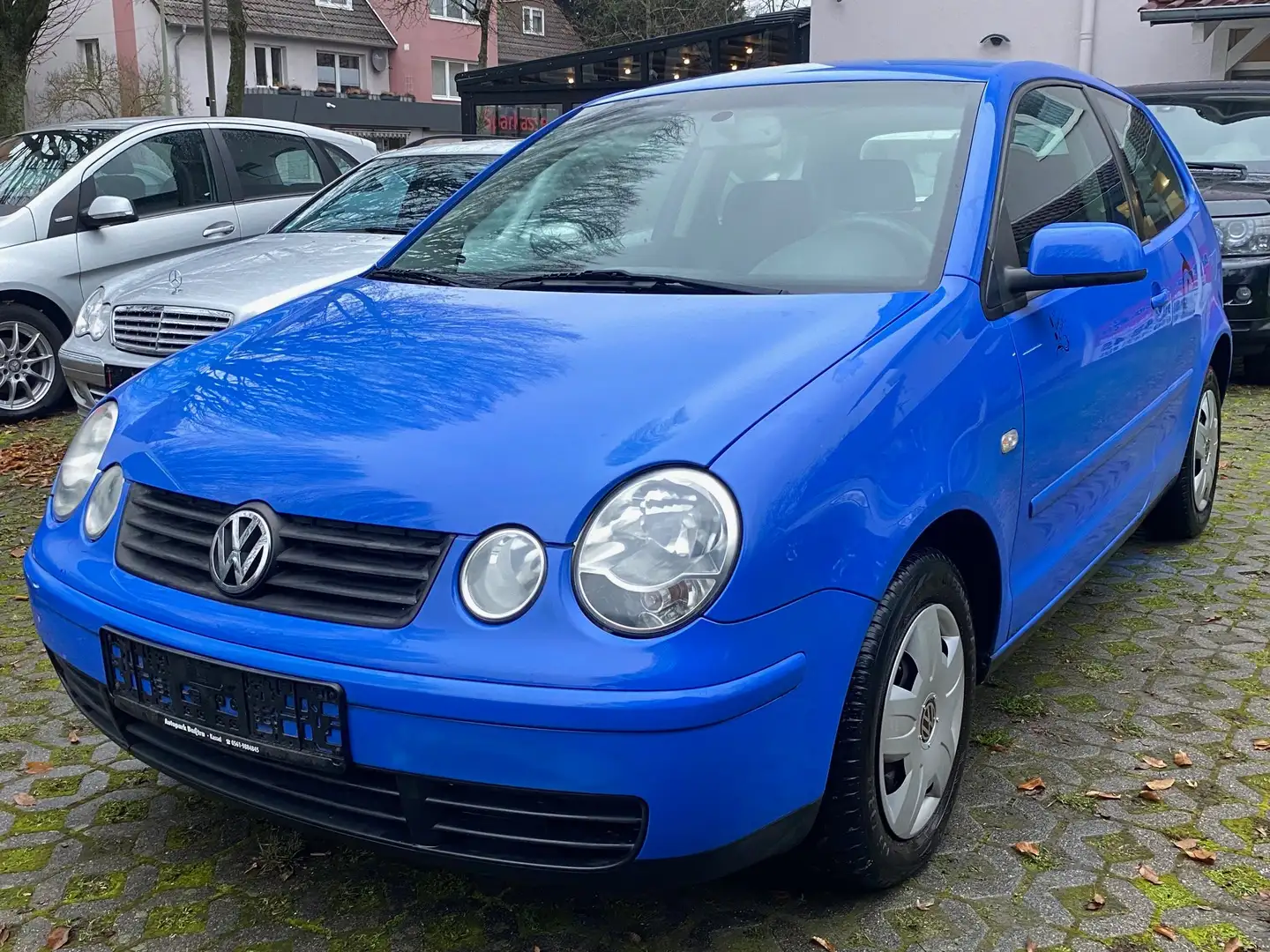 Volkswagen Polo Cricket Bleu - 1