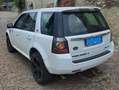 Land Rover Freelander Freelander II 2011 2.2 td4 SE 4wd 150cv Bianco - thumbnail 3