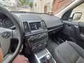 Land Rover Freelander Freelander II 2011 2.2 td4 SE 4wd 150cv Bianco - thumbnail 5