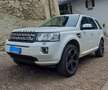 Land Rover Freelander Freelander II 2011 2.2 td4 SE 4wd 150cv Bianco - thumbnail 2