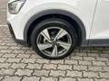 Audi Q2 35 1.5 tfsi Admired s-tronic GRANDINATA Blanc - thumbnail 8