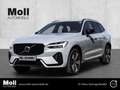 Volvo XC60 Plus Dark Recharge Plug-In Hybrid AWD T8 Twin Engi Grau - thumbnail 1