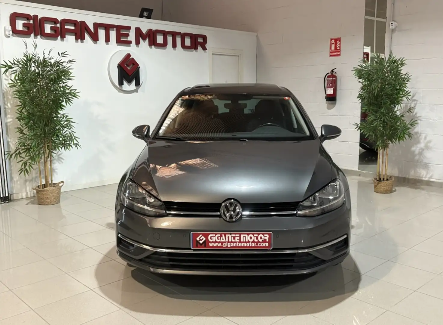 Volkswagen Golf 1.6TDI Advance 85kW Gris - 2