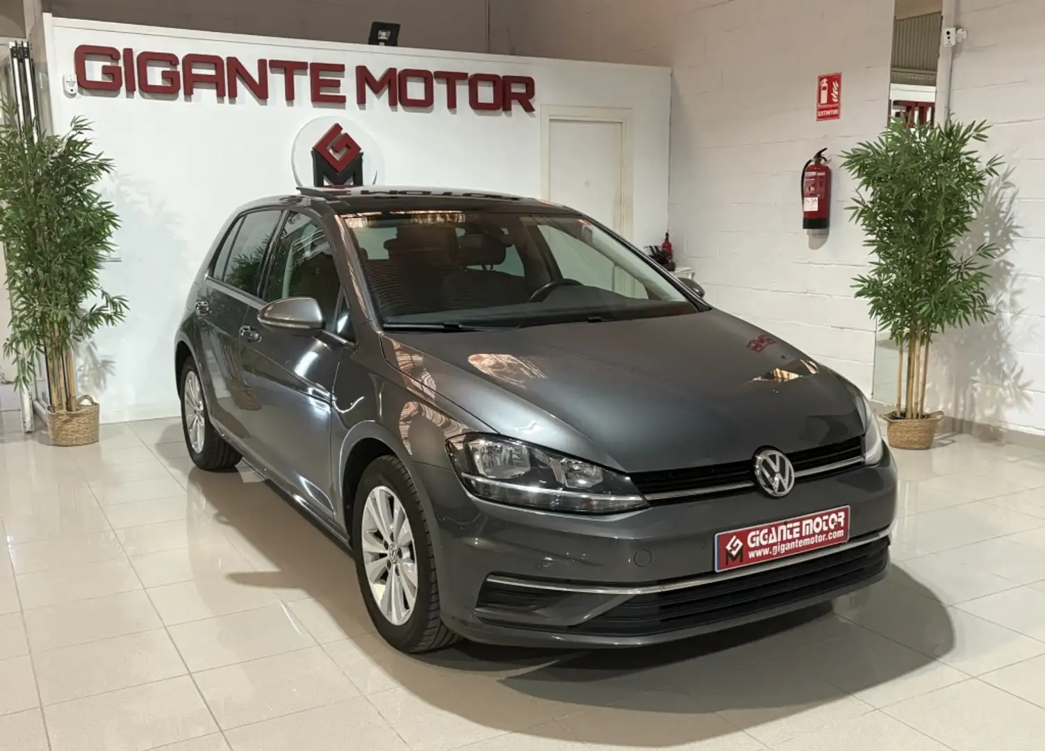 Volkswagen Golf 1.6TDI Advance 85kW Gris - 1