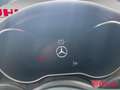 Mercedes-Benz C 300 Panoramadach, Rückfahrtkamera Weiß - thumbnail 9