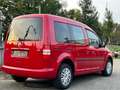 Volkswagen Caddy 1.2 (5-Si.) Cross - thumbnail 5