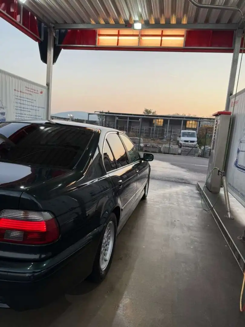 BMW 525 525d Verde - 2