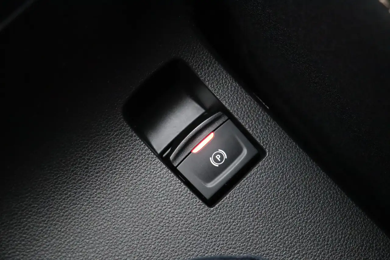 Dacia Sandero Stepway 1.0 TCe 100 ECO-G Extreme | Navigatie | Cl 29