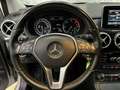 Mercedes-Benz B 200 B 180 CDI XENON*MEMORY*RFK Grigio - thumbnail 14