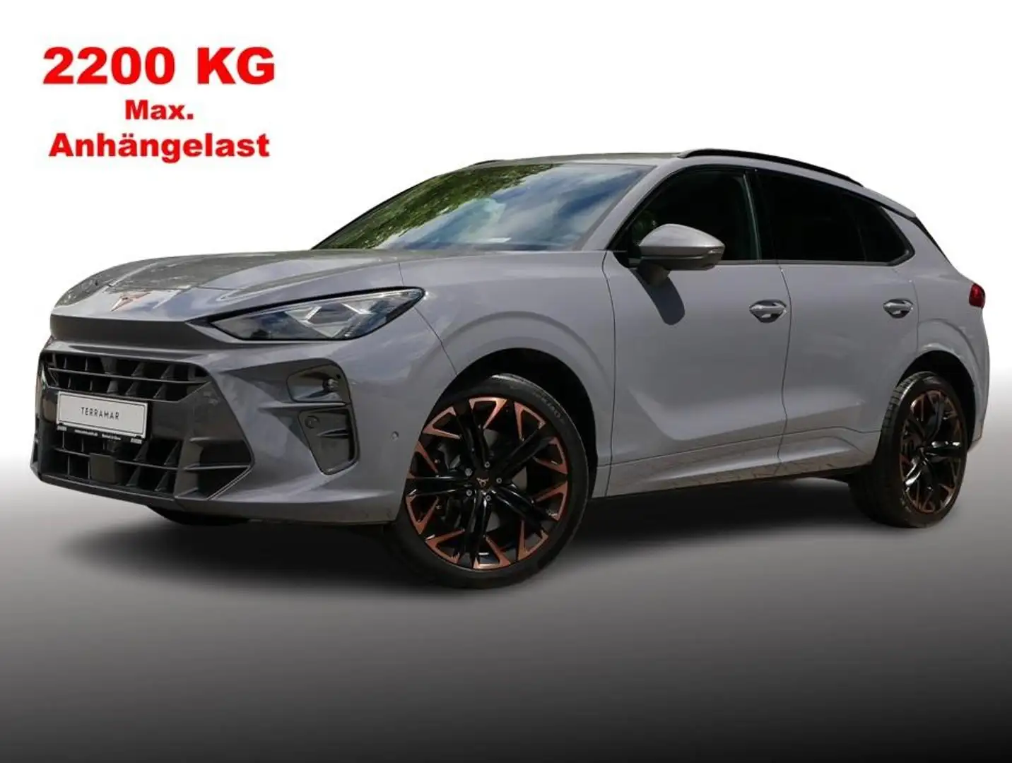CUPRA Terramar 2.0 TSI VZ 4DRIVE DSG PANORAMA+360°+AHK Grau - 2