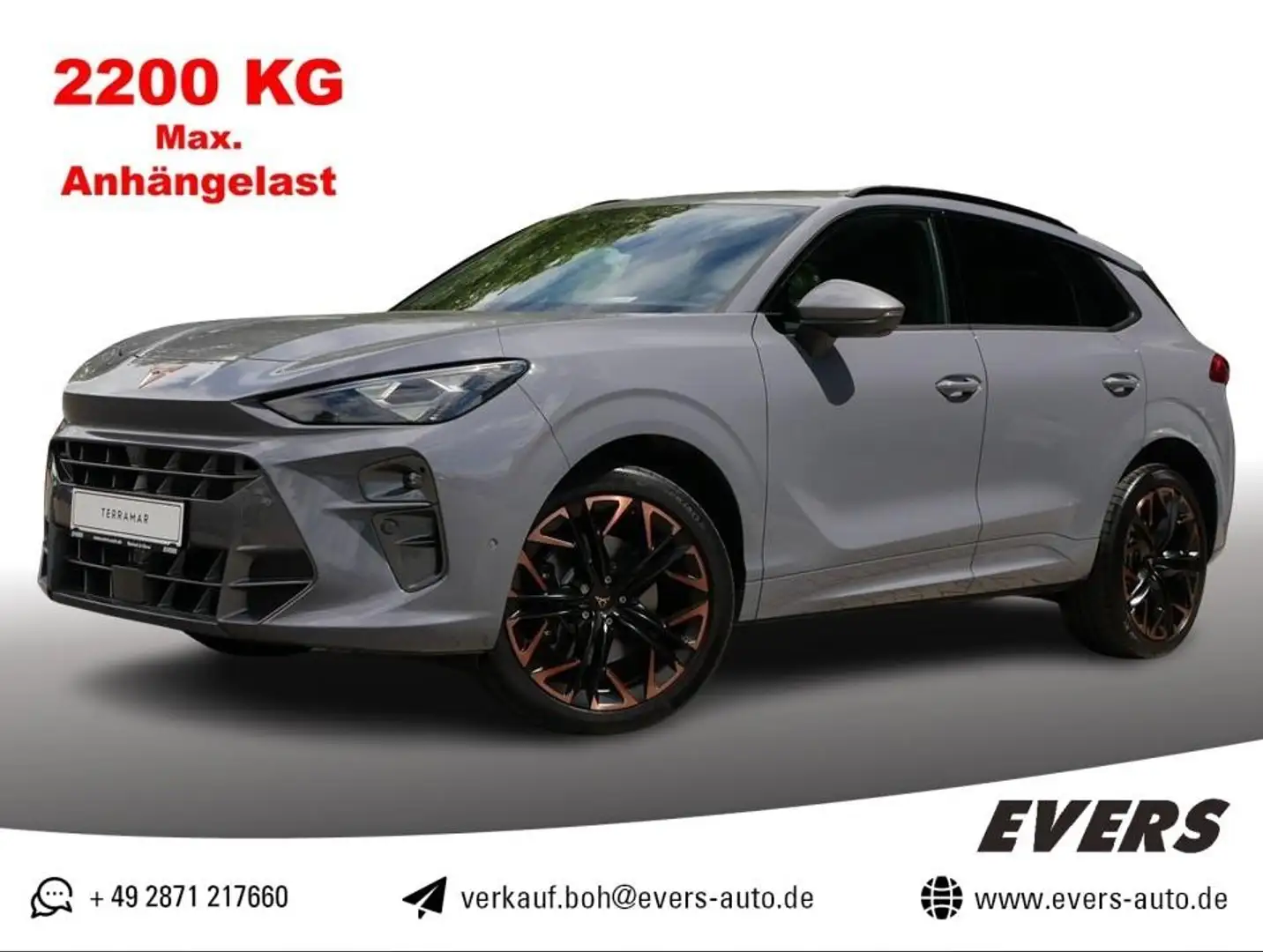 CUPRA Terramar 2.0 TSI VZ 4DRIVE DSG PANORAMA+360°+AHK Grau - 1