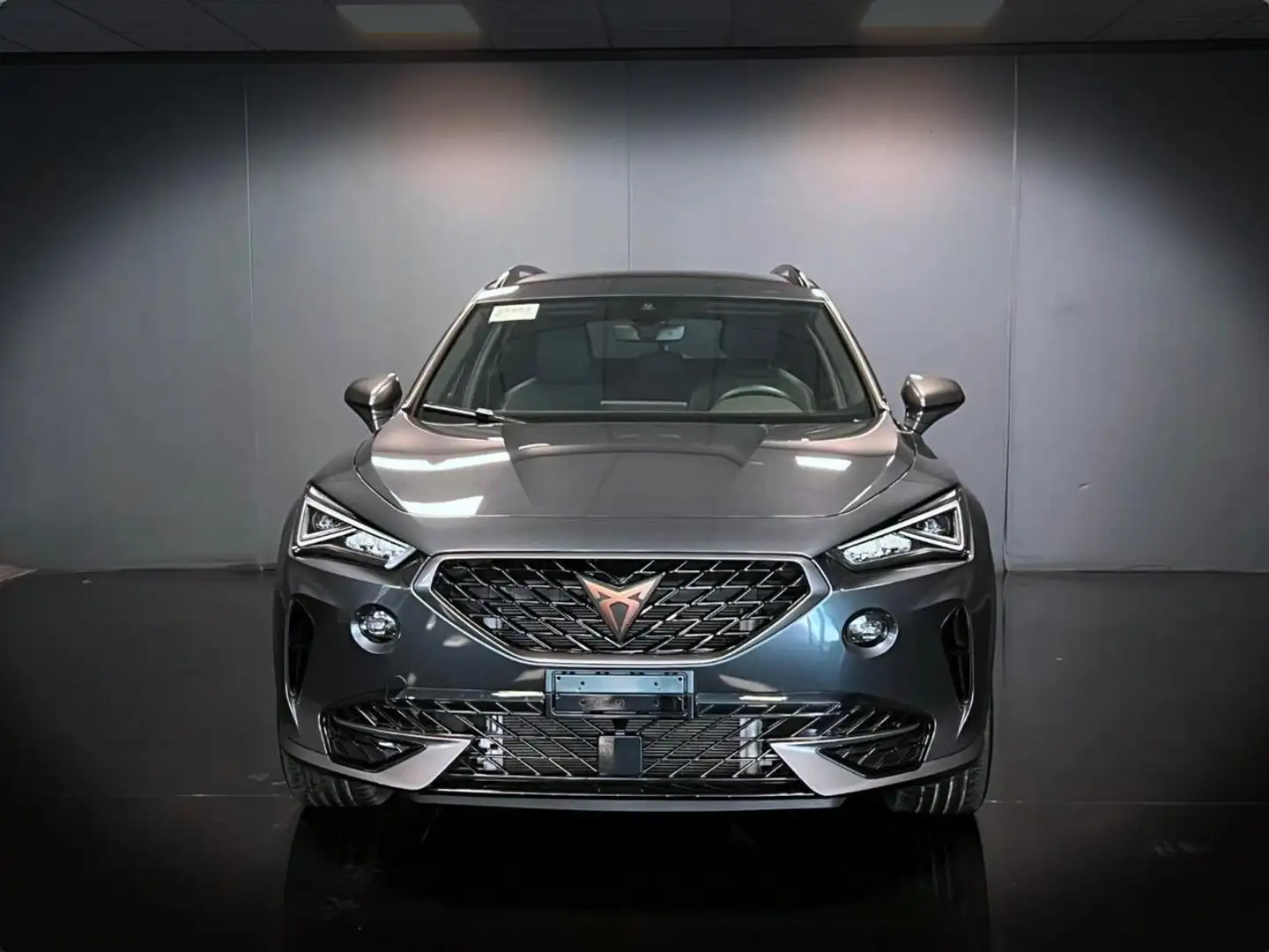 CUPRA Formentor 2.0 TDI 4Drive DSG Grigio - 2