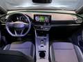 CUPRA Formentor 2.0 TDI 4Drive DSG Grigio - thumbnail 8