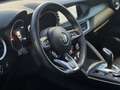 Alfa Romeo Stelvio 2.2 t Business rwd 160cv auto my19 - thumbnail 9