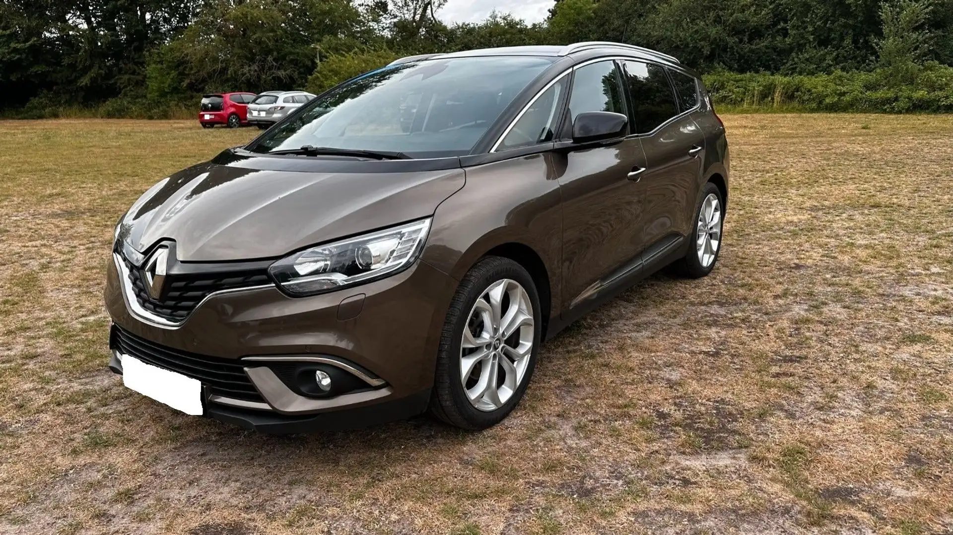 Renault Grand Scenic Grand Scenic IV 1.5 dCi Bose Edition 7pl Or - 2
