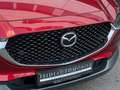 Mazda CX-30 Selection 2WD LED Navi ACC Kamera Head-Up Rot - thumbnail 39
