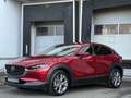 Mazda CX-30 Selection 2WD LED Navi ACC Kamera Head-Up Rot - thumbnail 2