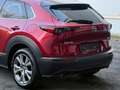 Mazda CX-30 Selection 2WD LED Navi ACC Kamera Head-Up Rot - thumbnail 40