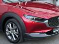 Mazda CX-30 Selection 2WD LED Navi ACC Kamera Head-Up Rot - thumbnail 41