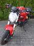 Ducati Monster 797 Czerwony - thumbnail 4